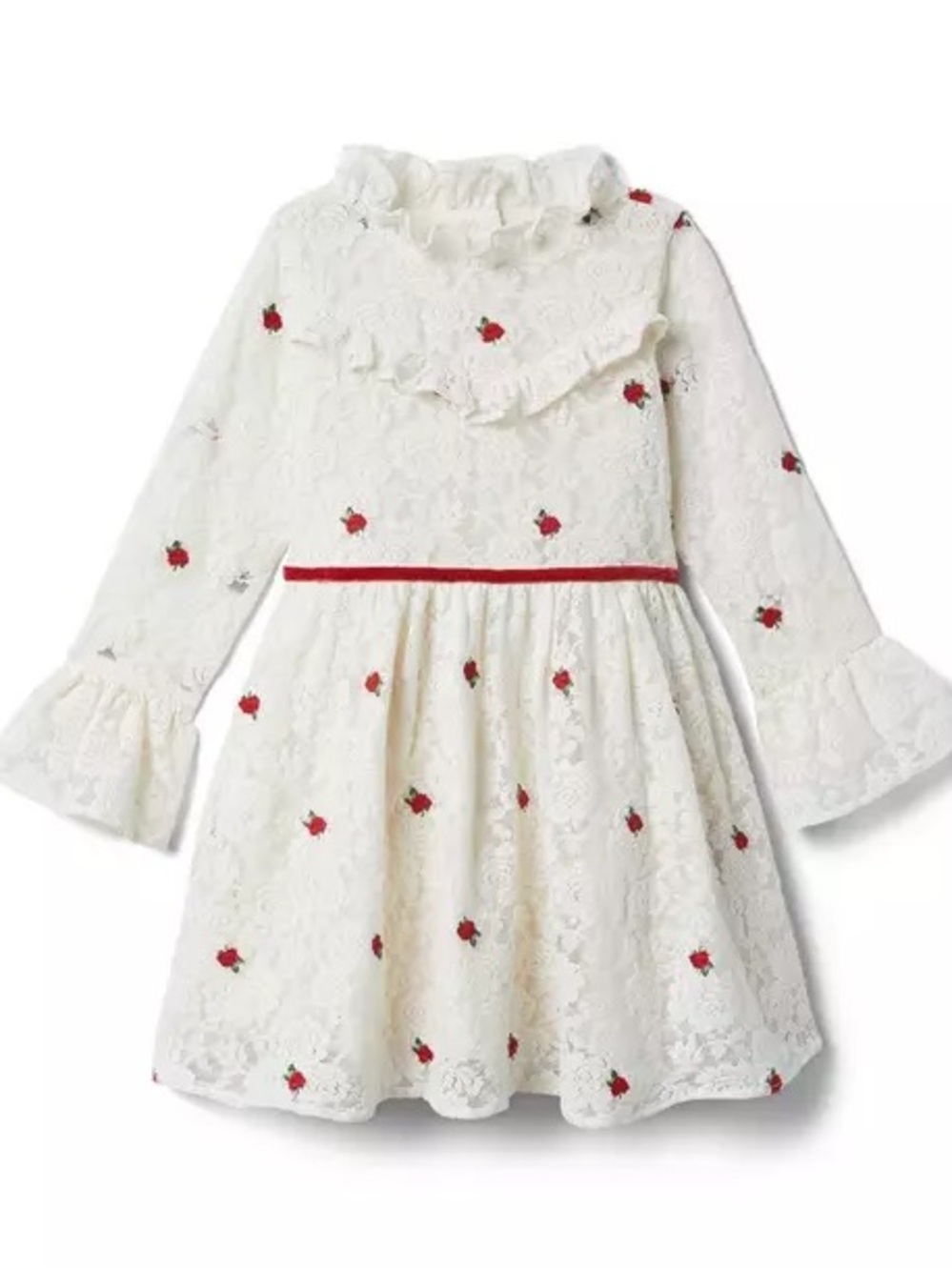 Janie and Jack Rose Lace Rose Embroidered Dress